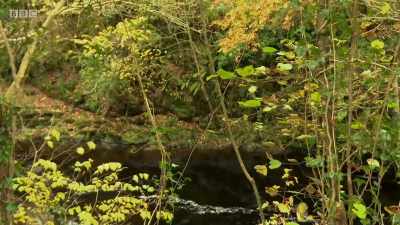 I would do everything to get to here
instead of going to school. - Chronicles of the Glens