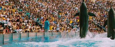 I would eat dolphins if it was legal - Anchorman 2: The Legend Continues