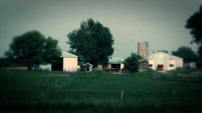 I would have been around
eight or nine years old. - Sins of the Amish