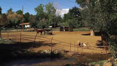 I would just love to be
at the ranch every day, - Human: The World Within