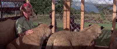 I would leave Pati behind
on these rides. - Born Free
