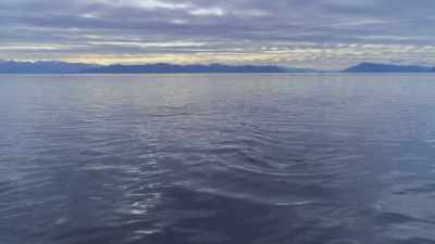 I would love to get an answer
for how it's all working - Secrets of the Whales