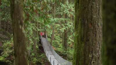 I would not cross this bridge - A Whitewater Romance