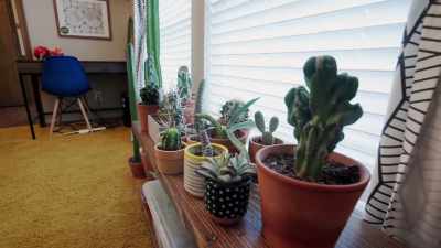 I would prefer it to be
an entertain space, - Renovation Impossible