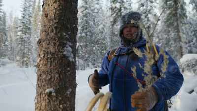 I would say almost for
every ailment or injury, - Life Below Zero: First Alaskans