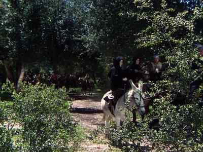 I wouldn't glve much for thelr lives
If It goes wrong. - The Bandit of Sherwood Forest