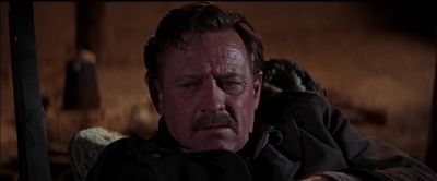 I wouldn't have it any other way - The Wild Bunch