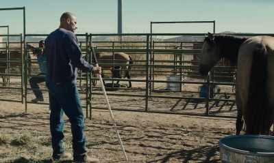 I wouldn't let you approach me either, - The Mustang