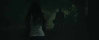 I wouldn't recommend
a pretty girl - Transference