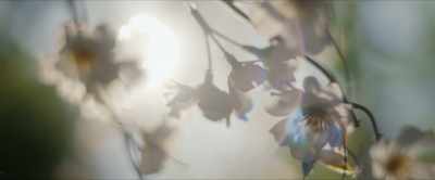 I wouldn't worry. - The Witchfinder