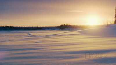I would've hoped they would
come out and take a peek, - Life Below Zero: First Alaskans