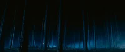 Of course! - Harry Potter and the Philosopher's Stone