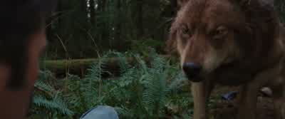 Ι ѕоlvеd thе рrоblеm. - The Twilight Saga: Breaking Dawn   Part 2