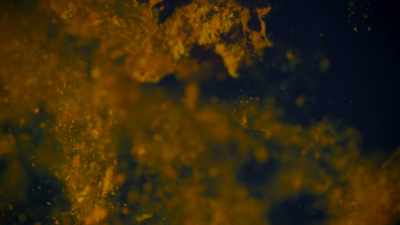 ian-the-first-creatures-on-earth-microbes - One Strange Rock