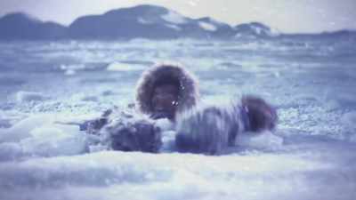 [ice cracking] - Tales From The Explorers Club