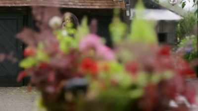 Icelandic man: When can I see it? - Beyond