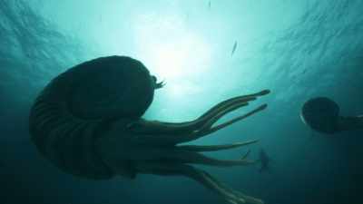 ichthyosaurs - Attenborough and the Sea Dragon