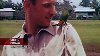 I'd be behind the front lines. - The Pacific War in Color