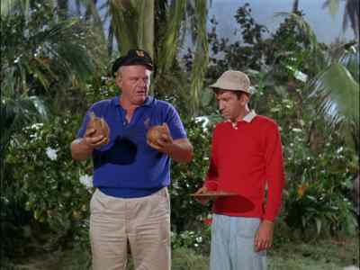 I'D HAVE SWORN
I HAD 3 COCONUTS. - Gilligan's Island