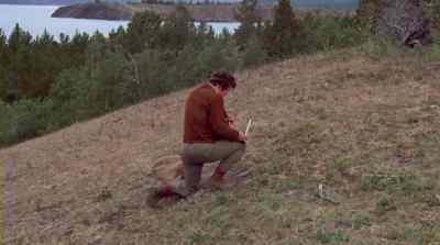 I'D JUST ABOUT DECIDED
I WAS LOOKING AT A COUGAR TRACK. - The Bears and I