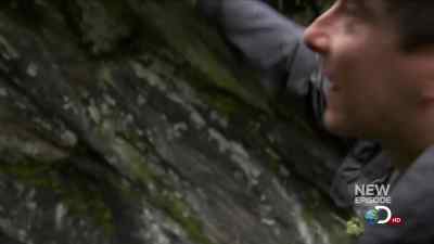 I'd leave that alone
if I were you, boy-o. - Man vs. Wild