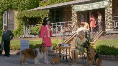 I'd like to re-enter Milady
for Best In Show - Ms Fisher's Modern Murder Mysteries