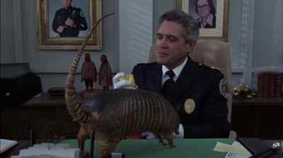 I'd like the number
for Budget Rent a Plane, please. - Police Academy 5: Assignment: Miami Beach