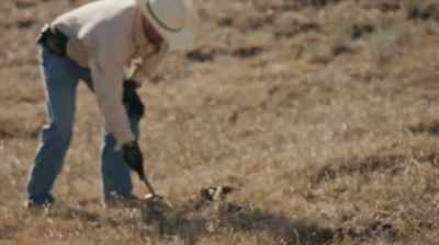 I'D LIKE TO FIND QUICK STUFF - Dino Hunters