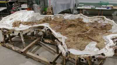 I'D LIKE TO GO AHEAD
AND START MAPPING - Dino Hunters