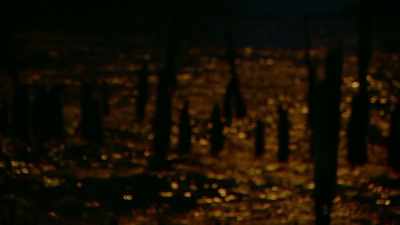 I'd never seen an eel, - One October