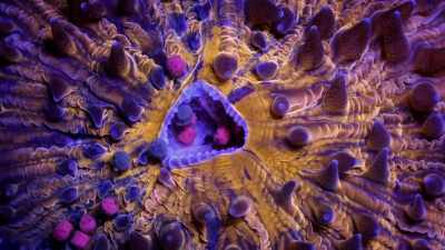 I'd never seen colors
that vibrant before. - One Strange Rock