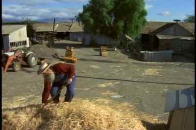 ♪ I'd rather pitch hay than woo ♪ - Eat My Dust