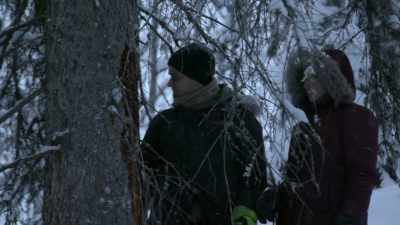 I'd really like to go through
and clean up all these branches, - Life Below Zero: Next Generation