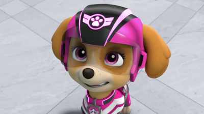 I'd say that's all the proof you
need, Your Highness! - PAW Patrol: Jet To The Rescue