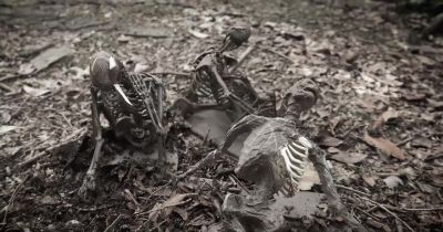 I'd say we're on track - Pungo: A Witch's Tale