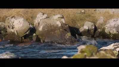I'd see another
side of her up there. - Billy & Molly: An Otter Love Story