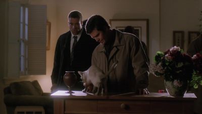 I'd stay away from that cat, Trudeau. - Charmed