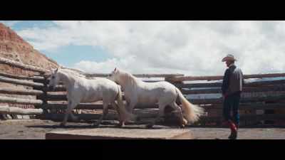 I'd use a pointer, or I would use
a lunge whip as a sound. - My Heroes Were Cowboys