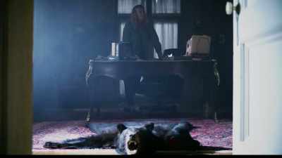 [IDA]:
Her burden is heavy - Night of the Sicario