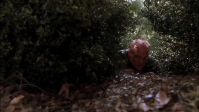 Idiots. - NCIS