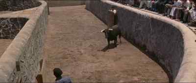 ¡Toro, aqui! - The Sun Also Rises