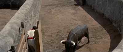 ¡Toro! ¡Toro, aqui! - The Sun Also Rises