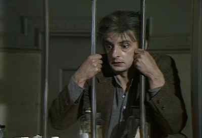 If a bird eats fifty spiders and every spider 
eats fifty flies, - Count Dracula