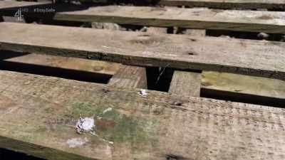 If a pallet has got MB on it, - Escape to the Chateau: Make Do & Mend