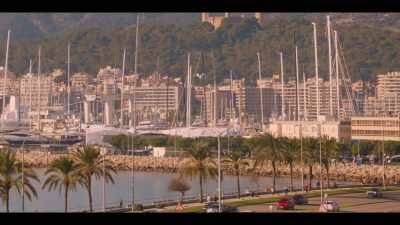 If we alert all the airports, - The Mallorca Files