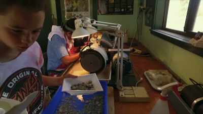 If all the stones are this bad - Outback Opal Hunters