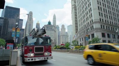 If anyone asks,
we saw a cat in a tree. - Chicago Fire