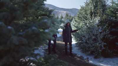 If anyone can help us find trees
for all year long, - Christmas Hotel