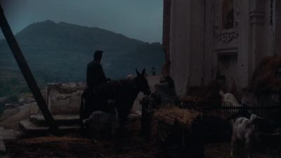 If anyone is hiding the boy
Vito Andolini... - The Godfather: Part II