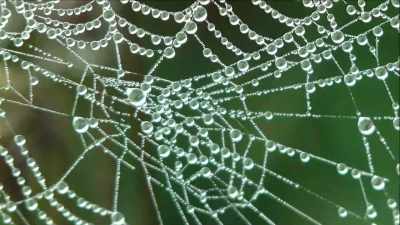 If we apply these ideas
to spirituality, - The Way of the Psychonaut